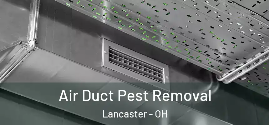 Air Duct Pest Removal Lancaster - OH