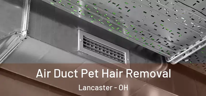  Air Duct Pet Hair Removal Lancaster - OH