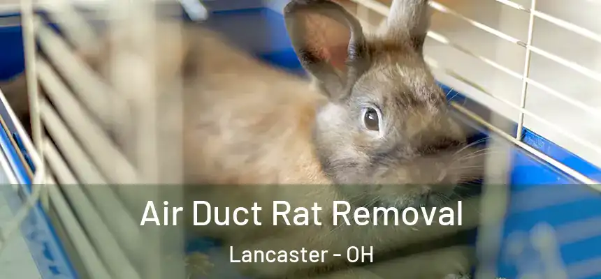 Air Duct Rat Removal Lancaster - OH