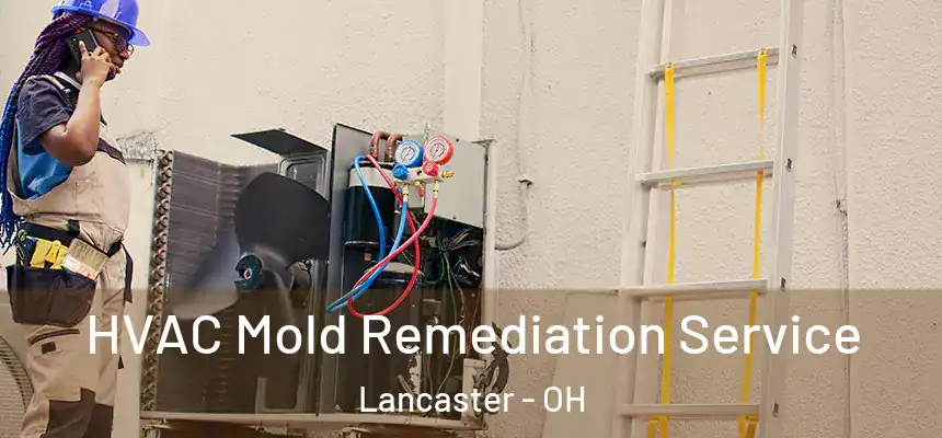 HVAC Mold Remediation Service Lancaster - OH