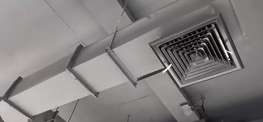 Our Pest Removal From Ducts Services in Lancaster, OH