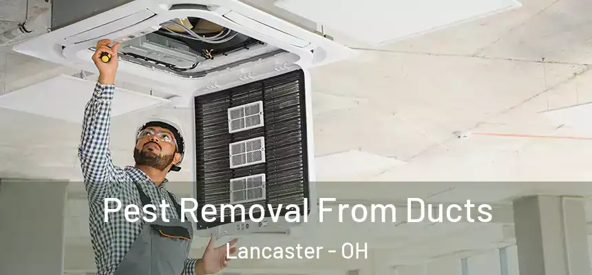 Pest Removal From Ducts Lancaster - OH