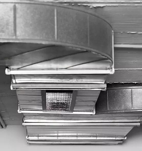 Professional Air Duct Pest Removal in Lancaster, OH