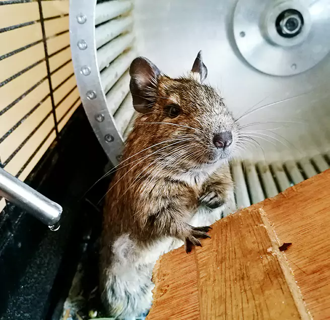 Why Homeowners & Businesses Trust Us Lancaster, OH